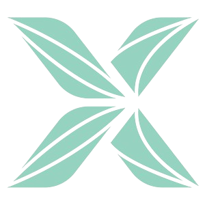 Exec Hawai'i Logo Icon