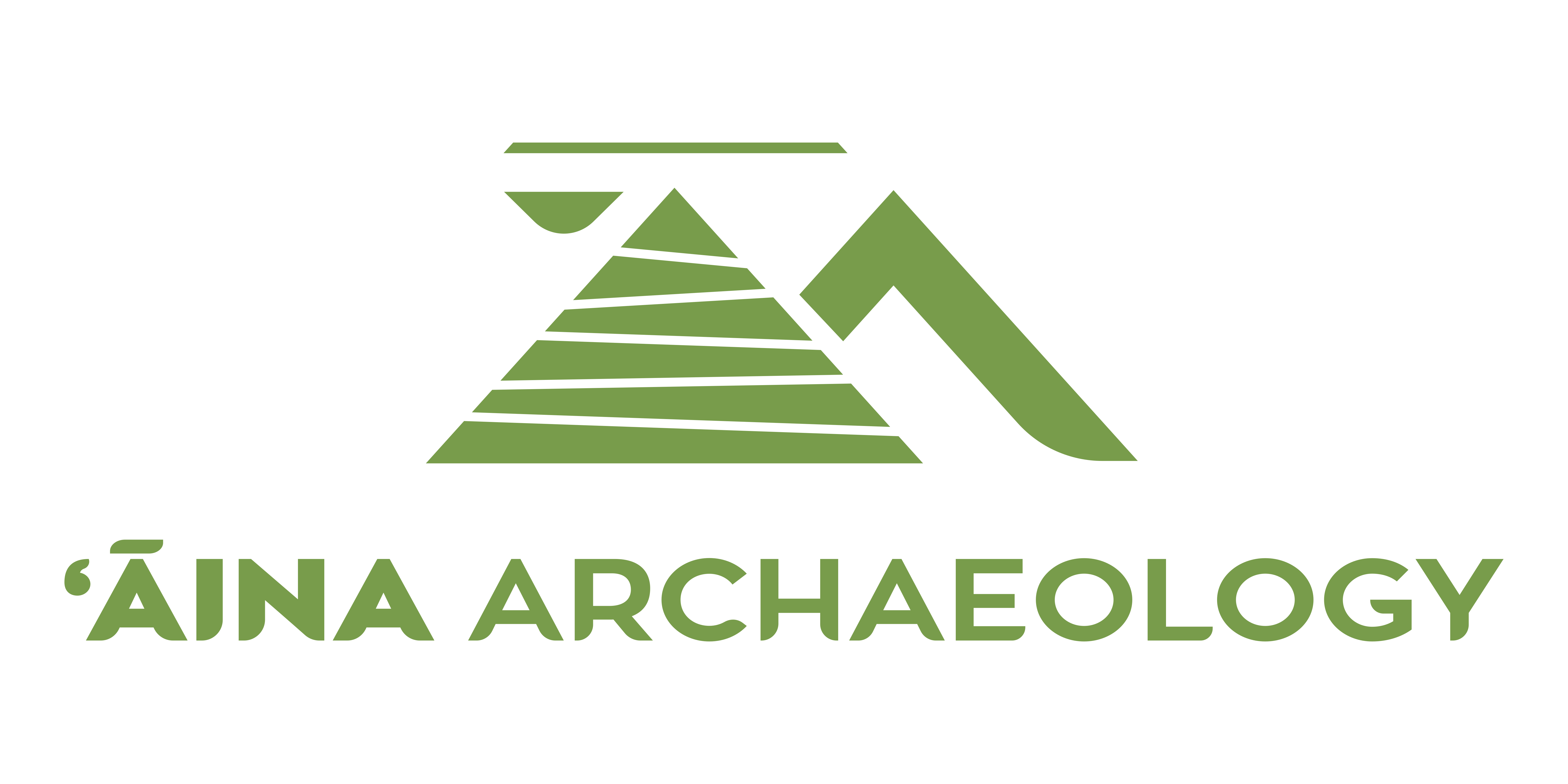 Aina Logo